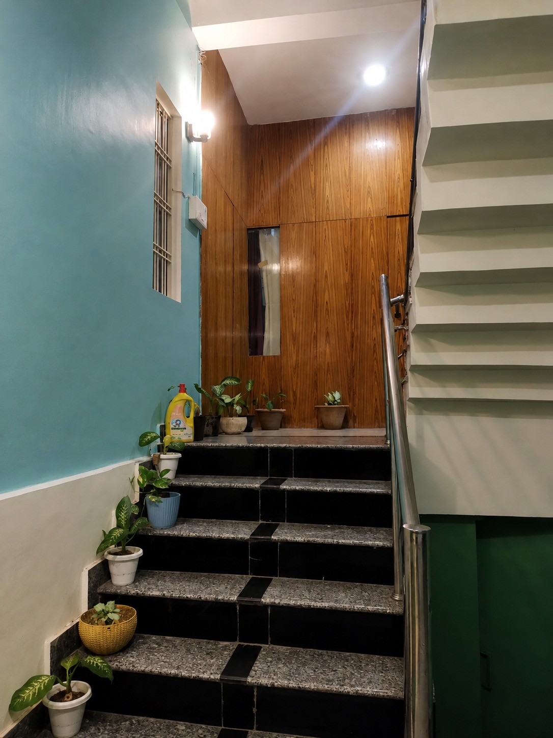 Staircase lined with potted plants